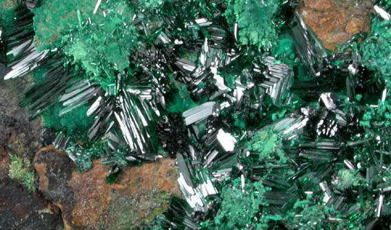 Atacamite and Malachite from Copiapo, Atacama Desert, Chile (Type Locality for Atacamite)