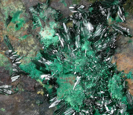 Atacamite and Malachite from Copiapo, Atacama Desert, Chile (Type Locality for Atacamite)