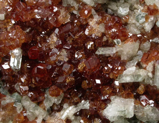 Grossular Garnet with Diopside and Clinochlore from Alpe delle Frasse, Torino, Piemonte, Italy