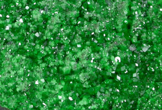 Uvarovite Garnet from Saranovskoye Mine, Sarany, Permskaya Oblast', Ural Mountains, Russia (Type Locality for Uvarovite)