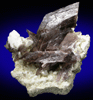 Axinite-(Fe) on Microcline from Alchuri, Shigar Valley, Baltistan, Gilgit-Baltistan, Pakistan