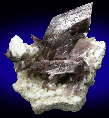 Axinite-(Fe) on Microcline from Alchuri, Shigar Valley, Baltistan, Gilgit-Baltistan, Pakistan