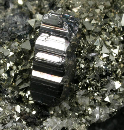 Bournonite on Pyrite from Mina Machacamarca, Viboras section, near Colavi, Potosi, Bolivia