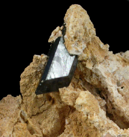 Vivianite from Clear Springs Mine, Bartow, Polk County, Florida