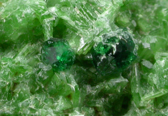 Diopside with Chrome-rich Grossular Garnets from Jeffrey Mine, Asbestos, Qubec, Canada