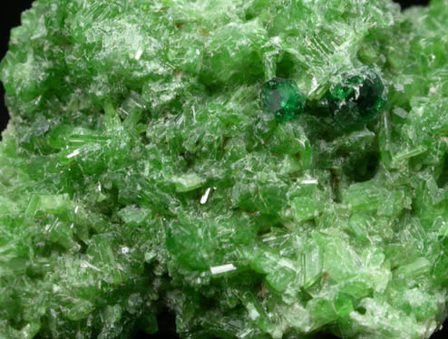 Diopside with Chrome-rich Grossular Garnets from Jeffrey Mine, Asbestos, Quebec, Canada
