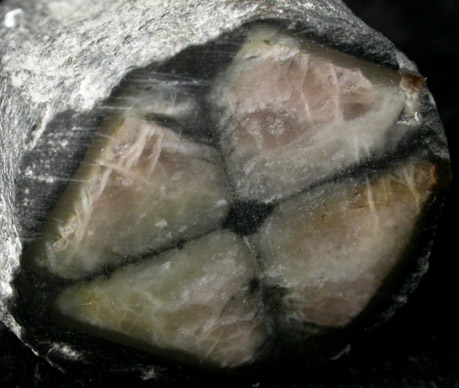 Andalusite var. Chiastolite from Lancaster, Worcester County, Massachusetts