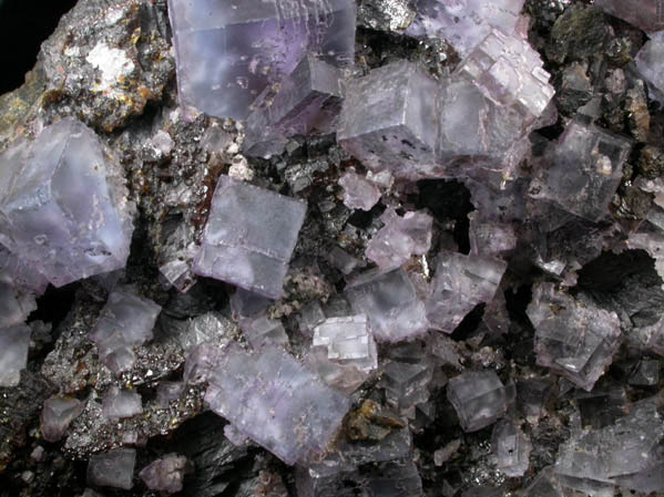 Fluorite on Sphalerite from Minerva #1 Mine, Rosiclare Level, Cave-in-Rock District, Hardin County, Illinois