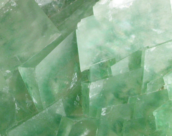 Calcite with Malachite inclusions from Tsumeb Mine, Otavi-Bergland District, Oshikoto, Namibia