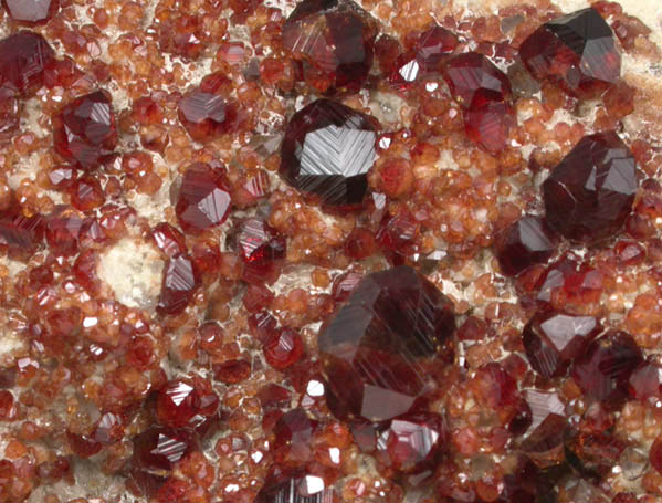 Spessartine Garnet on Microcline from Tongbei-Yunling District, Fujian Province, China