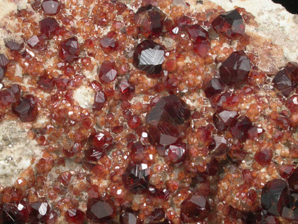 Spessartine Garnet on Microcline from Tongbei-Yunling District, Fujian Province, China