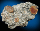 Corundum in Biotite schist from Sagstuen, Farsjo, Nes, Romerike, Akershus Fylke, Norway