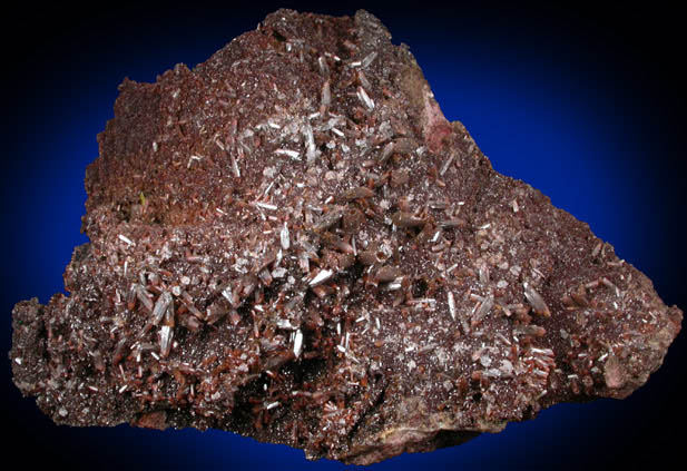 Vanadinite var. Endlichite on Descloizite from Ahumada Mine, Sierra de Los Lamentos, Chihuahua, Mexico