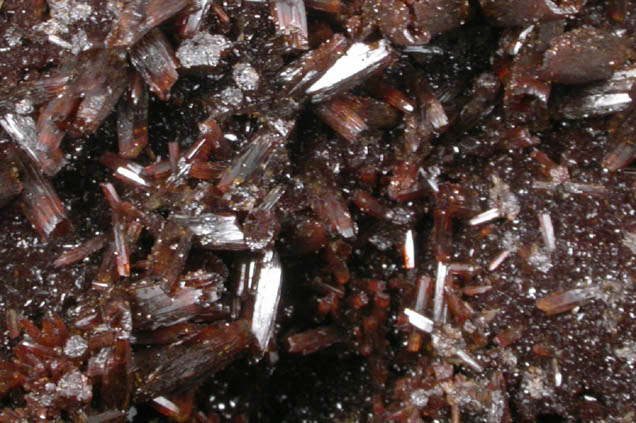 Vanadinite var. Endlichite on Descloizite from Ahumada Mine, Sierra de Los Lamentos, Chihuahua, Mexico