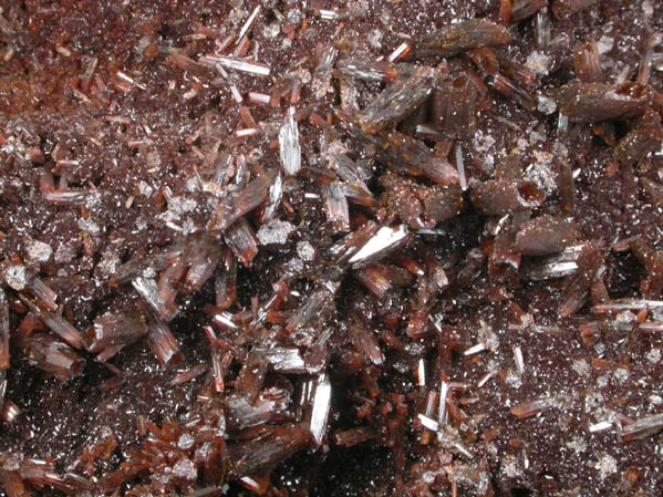 Vanadinite var. Endlichite on Descloizite from Ahumada Mine, Sierra de Los Lamentos, Chihuahua, Mexico