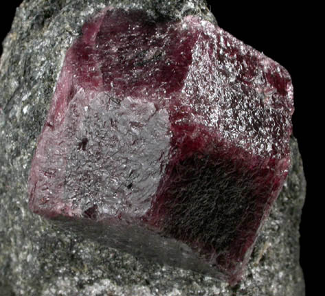 Almandine Garnet in schist from Garnet Ledge, east shore of Stikine River Delta, 11 km north of Wrangell, Alaska