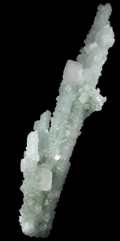 Apophyllite on Prehnite pseudomorphs after Laumontite from Bombay Quarry, Mumbai (Bombay), Maharashtra, India