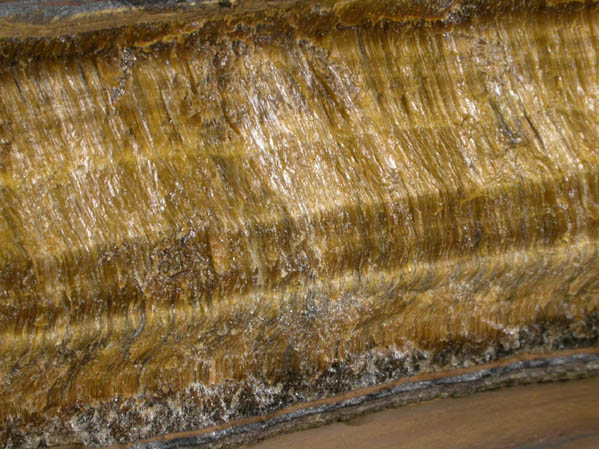 Quartz pseudomorphous after Crocidolite-Riebeckite (Tiger-Eye) from headwaters of the Orange River, Northern Cape Province, South Africa