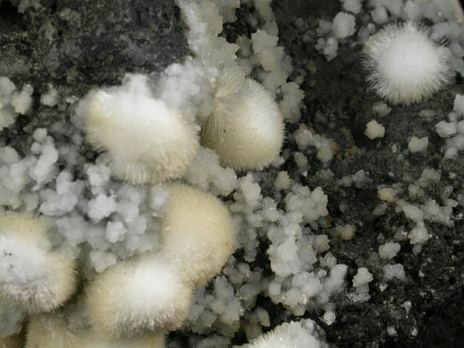 Natrolite on Calcite from Millington Quarry, Bernards Township, Somerset County, New Jersey