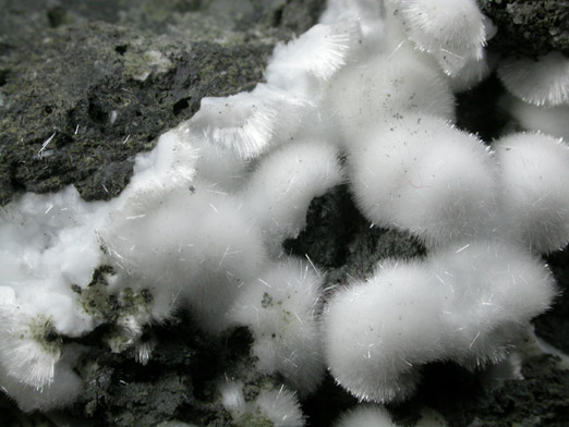 Natrolite from Millington Quarry, Bernards Township, Somerset County, New Jersey