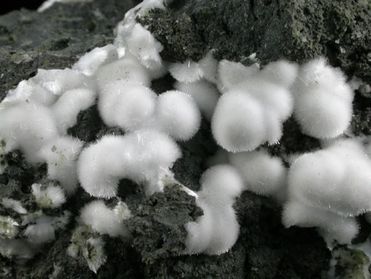 Natrolite from Millington Quarry, Bernards Township, Somerset County, New Jersey