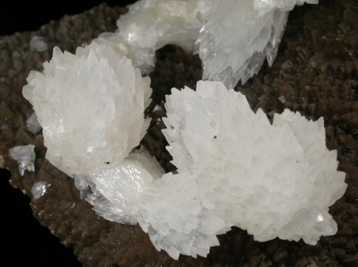 Calcite on Calcite from Oskaloosa area coal mines, Mahaska County, Iowa