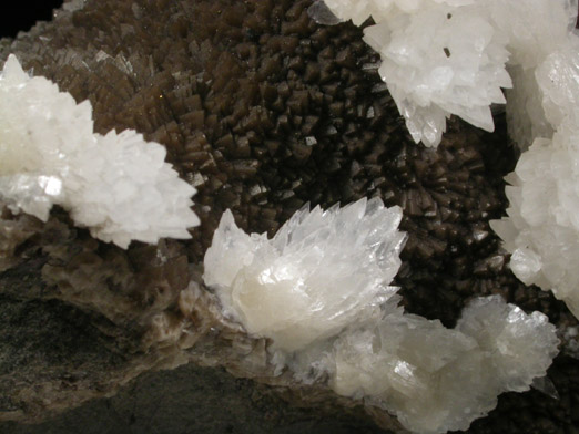 Calcite on Calcite from Oskaloosa area coal mines, Mahaska County, Iowa