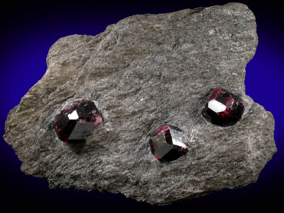 Almandine Garnet in schist from Garnet Ledge, east shore of Stikine River Delta, 11 km north of Wrangell, Alaska