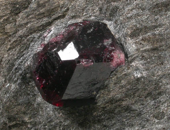 Almandine Garnet in schist from Garnet Ledge, east shore of Stikine River Delta, 11 km north of Wrangell, Alaska