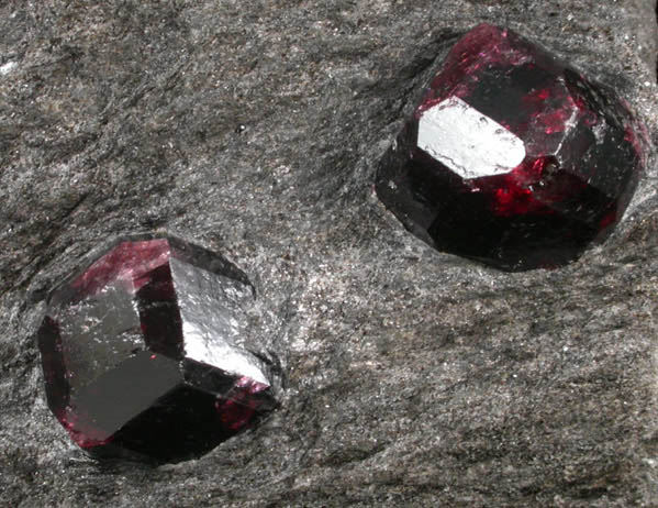 Almandine Garnet in schist from Garnet Ledge, east shore of Stikine River Delta, 11 km north of Wrangell, Alaska