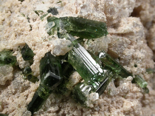 Elbaite Tourmaline in Muscovite from Mount Mica Quarry, Paris, Oxford County, Maine