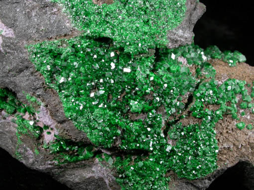 Uvarovite Garnet from Saranovskoye Mine, Sarany, Permskaya Oblast', Ural Mountains, Russia (Type Locality for Uvarovite)