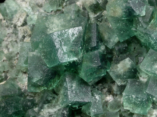 Fluorite (interpenetrant-twinned crystals) from Rogerley Mine, County Durham, England