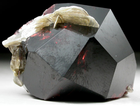 Spessartine Garnet with Muscovite from Shigar Valley, Skardu District, Baltistan, Gilgit-Baltistan, Pakistan