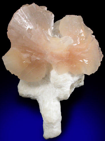 Heulandite-Ca on Mordenite from Dharampuri, Madhya Pradesh, India