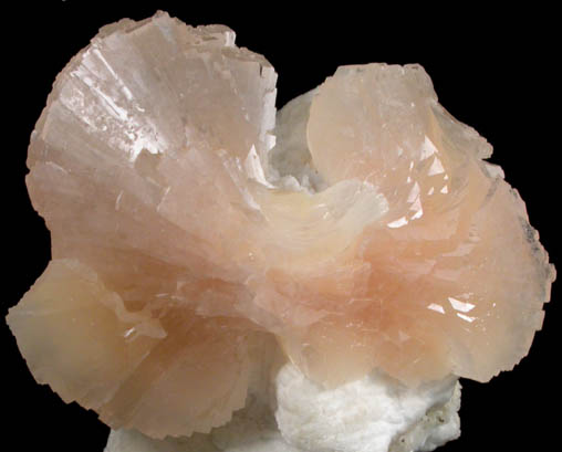 Heulandite-Ca on Mordenite from Dharampuri, Madhya Pradesh, India