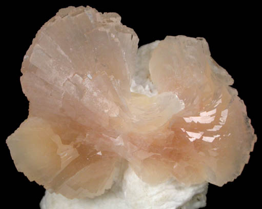 Heulandite-Ca on Mordenite from Dharampuri, Madhya Pradesh, India