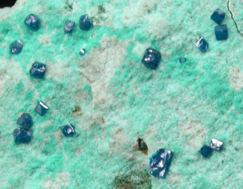 Cornetite from L'Etoile du Congo Mine, Lubumbashi, Katanga Copperbelt, Haut-Katanga Province, Democratic Republic of the Congo (Type Locality for Cornetite)