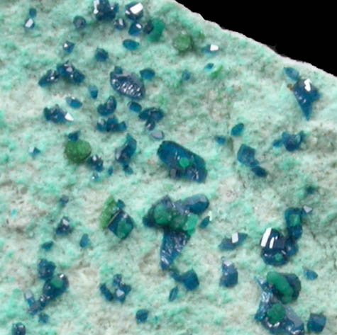 Cornetite with Pseudomalachite from L'Etoile du Congo Mine, Lubumbashi, Katanga Copperbelt, Haut-Katanga Province, Democratic Republic of the Congo (Type Locality for Cornetite)