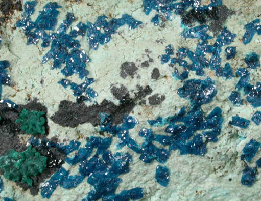 Cornetite with Pseudomalachite from L'Etoile du Congo Mine, Lubumbashi, Katanga Copperbelt, Haut-Katanga Province, Democratic Republic of the Congo (Type Locality for Cornetite)