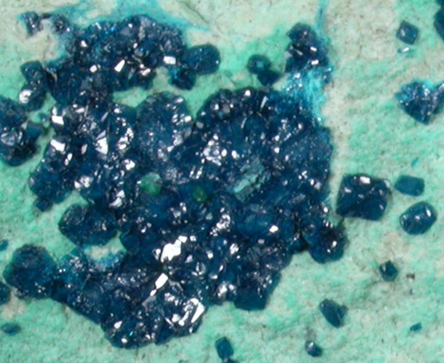 Cornetite with Pseudomalachite from L'Etoile du Congo Mine, Lubumbashi, Katanga Copperbelt, Haut-Katanga Province, Democratic Republic of the Congo (Type Locality for Cornetite)