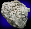 Meionite, Titanite, Diopside, Phlogopite from Goodall Farm Quarry, 600 meter Prospect, Sanford, York County, Maine