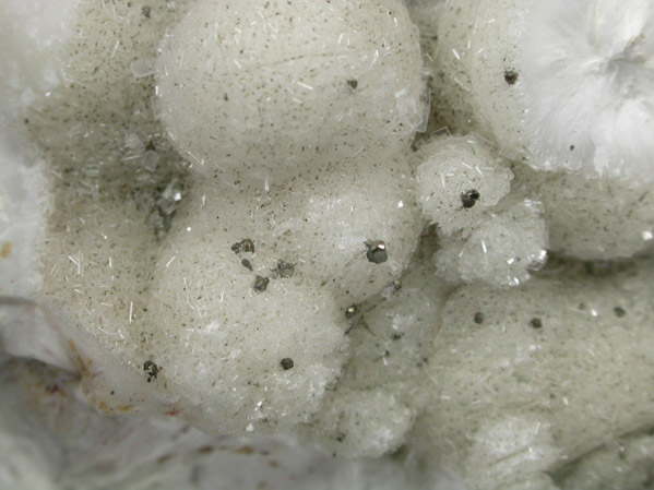 Pectolite with Pyrite from Millington Quarry, Bernards Township, Somerset County, New Jersey