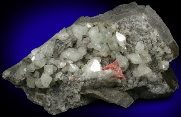 Datolite and Chabazite-Ca from Prospect Park Quarry, Prospect Park, Passaic County, New Jersey