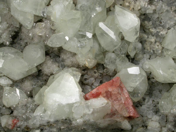 Datolite and Chabazite-Ca from Prospect Park Quarry, Prospect Park, Passaic County, New Jersey