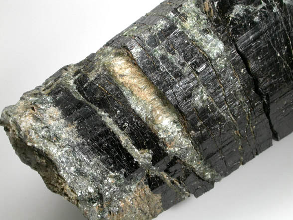 Dravite Tourmaline from Tourmaline Prospect 100 m. west of Biermann Quarry, Bethel, Fairfield County, Connecticut