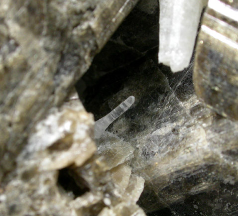 Meionite and Vesuvianite from Goodall Farm Quarry, 600 meter Prospect, Sanford, York County, Maine