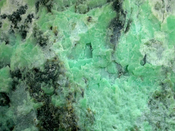 Genthite (Nepouite-Pecoraite) from Penn-MD Quarry, near Peach Bottom, Fulton Township, Lancaster County, Pennsylvania