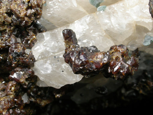 Andradite Garnet, Fluorapatite, Franklinite, Calcite from Trotter Mine Dump, Franklin, Sussex County, New Jersey (Type Locality for Franklinite)