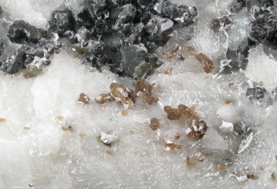 Spinel and Phlogopite in Franklin Marble from Lime Crest Quarry (Limecrest), Sussex Mills, 4.5 km northwest of Sparta, Sussex County, New Jersey